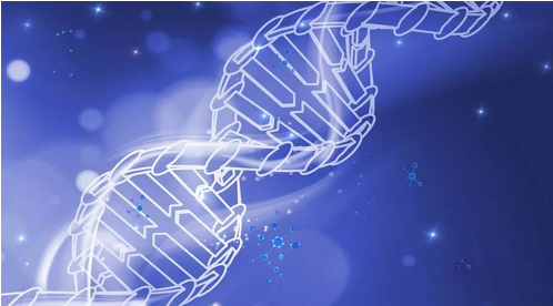 多肽合成方向 多肽合成方向