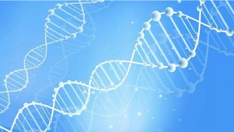 多肽合成 多肽合成