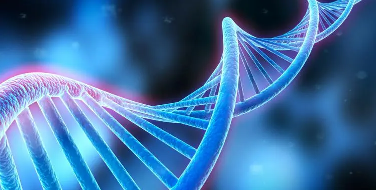 多肽合成 多肽合成