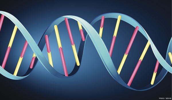 蛋白表达 蛋白表达