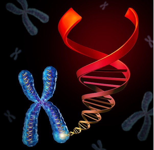 荧光标记技术 荧光标记技术