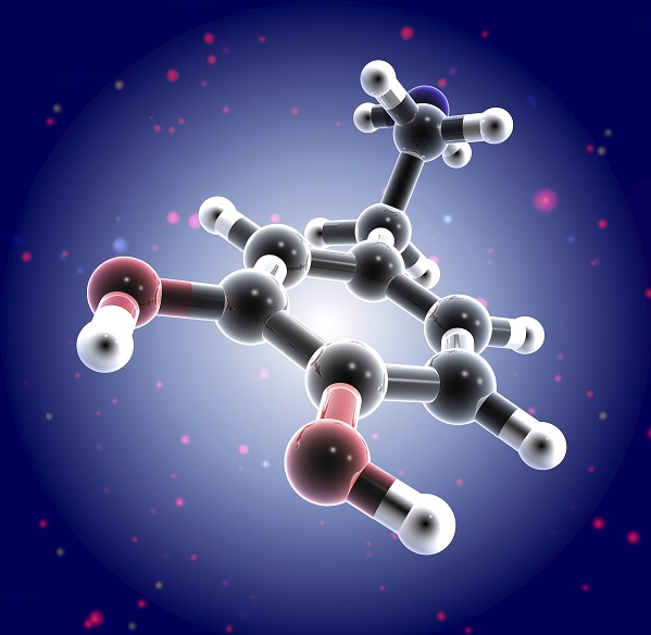 同位素标记多肽 同位素标记多肽