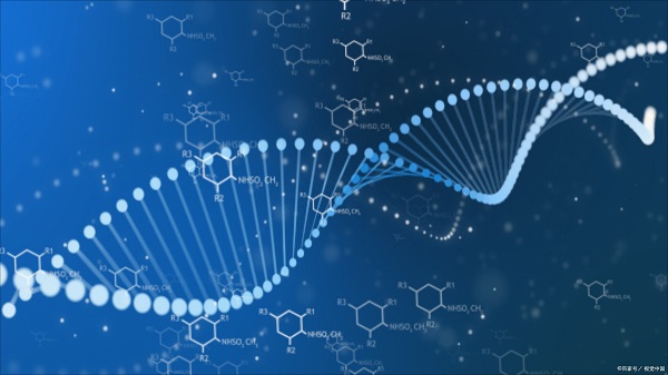 多肽合成 多肽合成
